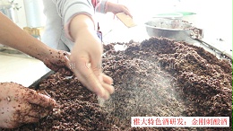 新型酿酒设备酿造的金刚刺酒卖188元一斤，唐总却不知足…