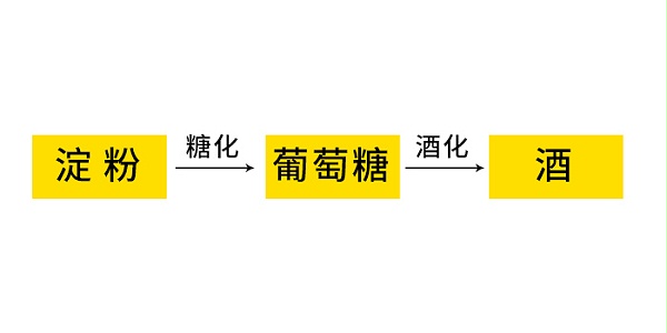 10.18-酿酒发酵基本原理