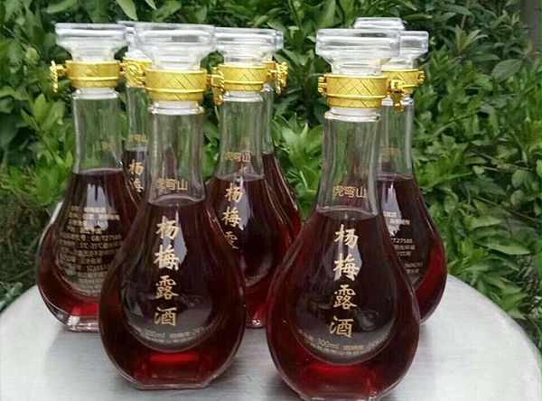 果酒酿酒设备酿造杨梅酒