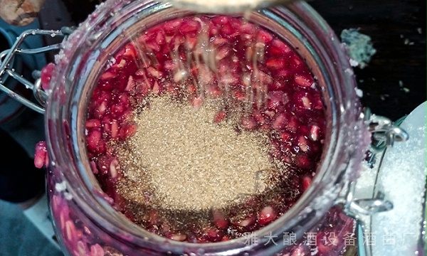加入雅大水果酒曲 加入雅大水果酒曲