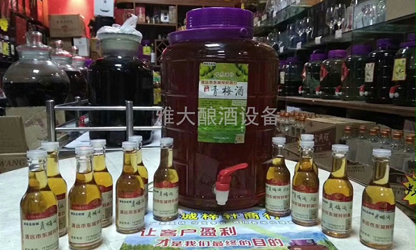 用雅大制酒设备酿造的青梅酒成功进驻清远