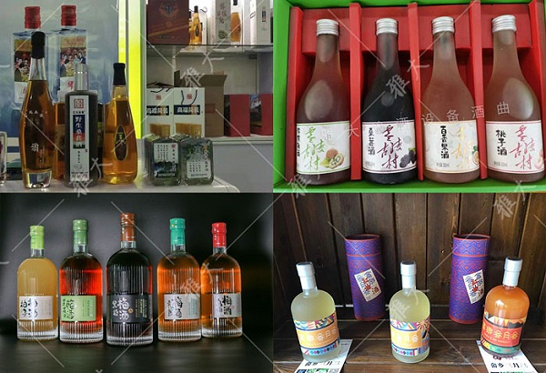各种水果酒