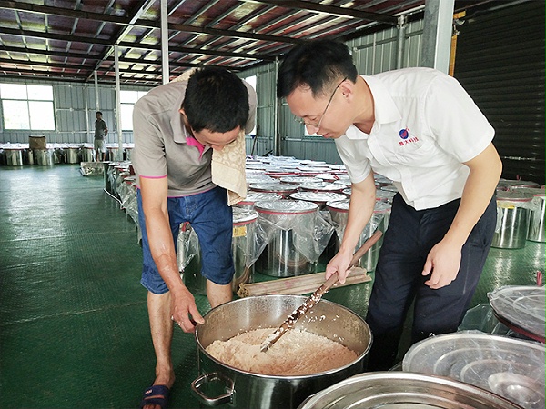 蒋总检查大米发酵情况