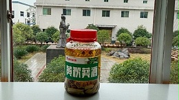 做酒设备酿造黄秋葵酒，3种不同工艺，哪种工艺酿的更好喝？