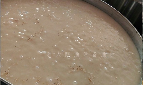 25-大米生料酿酒2