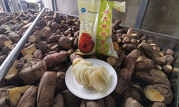 3将洗净的雪莲果倒入摊晾蒸煮一体机中