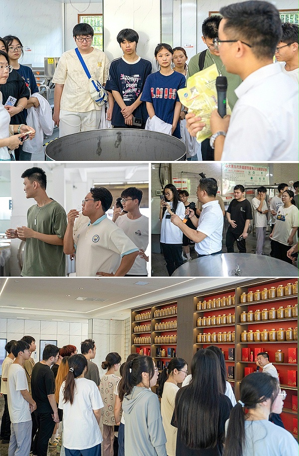 图片5