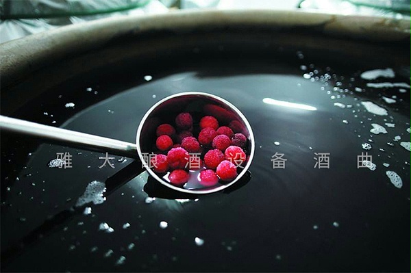 杨梅泡酒