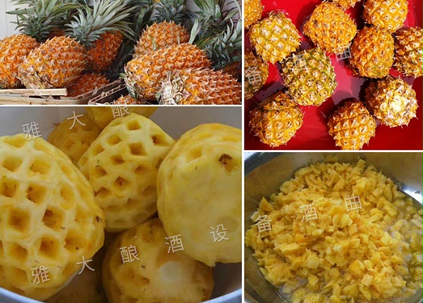 菠萝酿酒技术