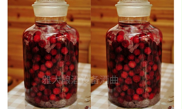 4.19杨梅泡酒