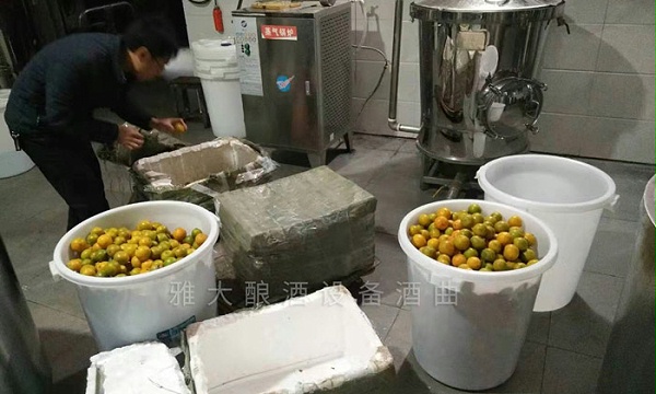 韶关谢总给雅大寄来的黄帝柑酿酒
