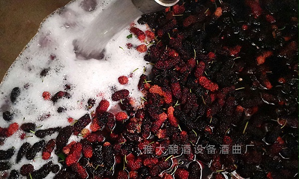 20190519144020000176/resource/images/954efa9d15cd4ece8207c8a55be0acbe_6.jpg