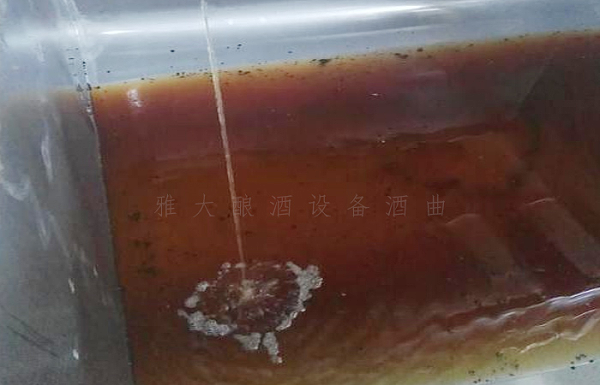 11-19固态酿酒时黄水导致短产