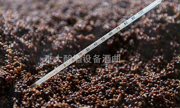 920掌握发酵温度可以提高出酒率