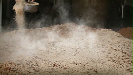 “多曲≠多酒”——冬季酿酒用曲的科学配比与常见误区