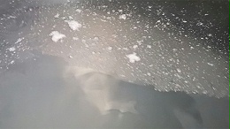 冬季白酒出现白色絮状沉淀是怎么回事？酒还能喝吗？