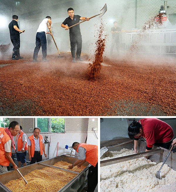 各种酿酒技术实操