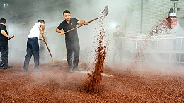 考察酿酒设备，你还在纠结距离远吗？这3个真相，让你不再犹豫！