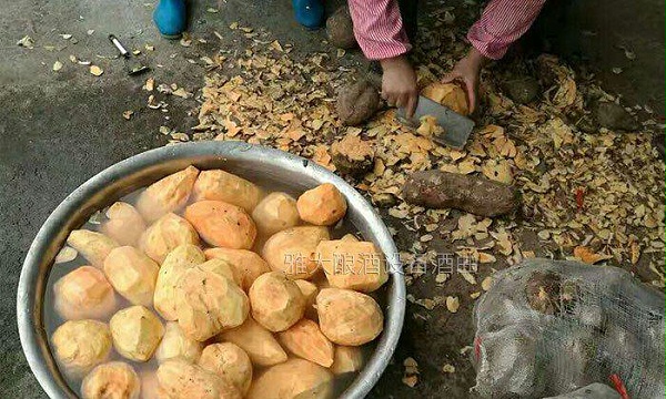 清洗