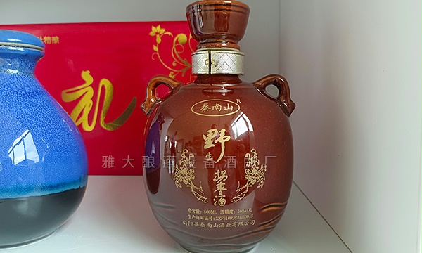 用大型酿酒设备蒸馏拐枣酒