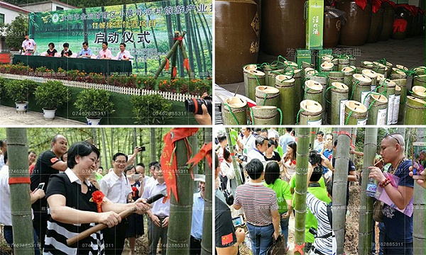 金洞旅游产业扶贫项目-活竹酒种酒基地