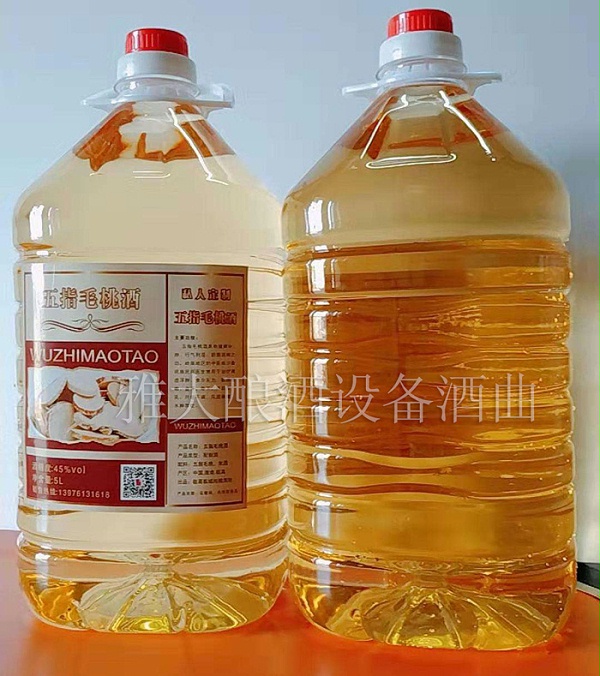 1.6五指毛桃酒